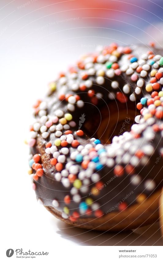 mini donut Krapfen Backwaren süß Schokolade lecker Dessert mehrfarbig rund Ernährung Lebensmittel Kalorie Zucker klein sweet chocolate Liebesperle genießen