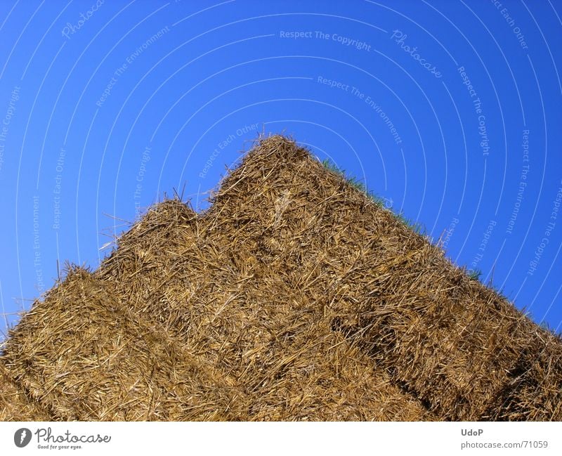 Postägyptischer Pyramidenbau Stroh gelb Landwirtschaft eckig Himmel blau gold verrückt Sommer