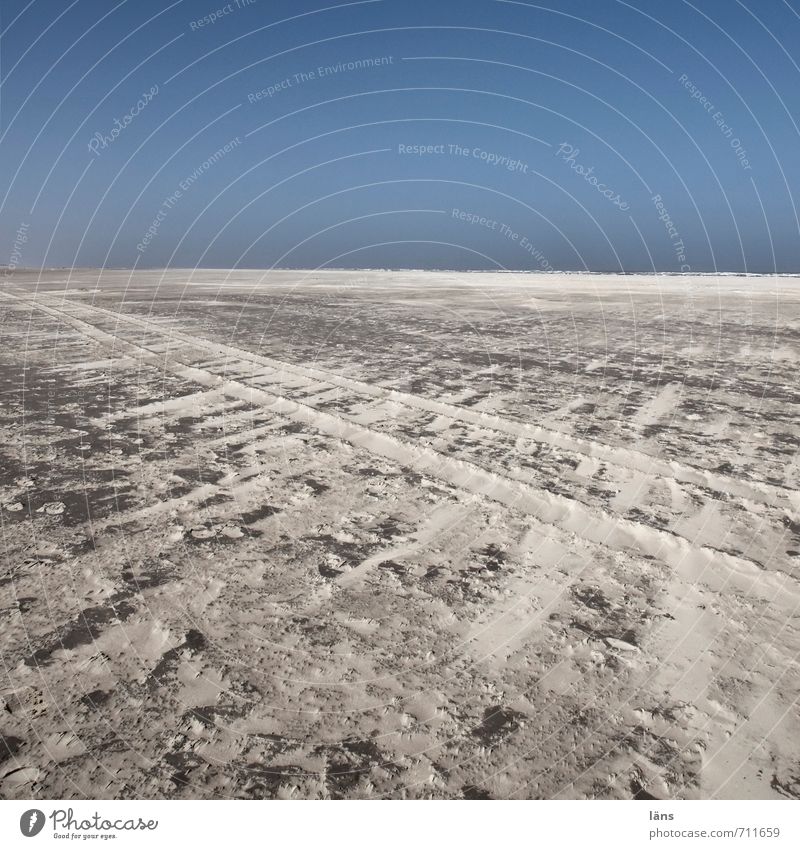 400 l Spuren Umwelt Natur Urelemente Sand Luft Wolkenloser Himmel Schönes Wetter Strand Nordsee Beginn Einsamkeit einzigartig Ferne Spiekeroog Farbfoto