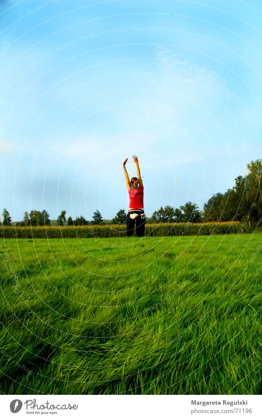 In den Himmel springen hüpfen Fröhlichkeit Sommer Gute Laune Schönes Wetter deld Natur