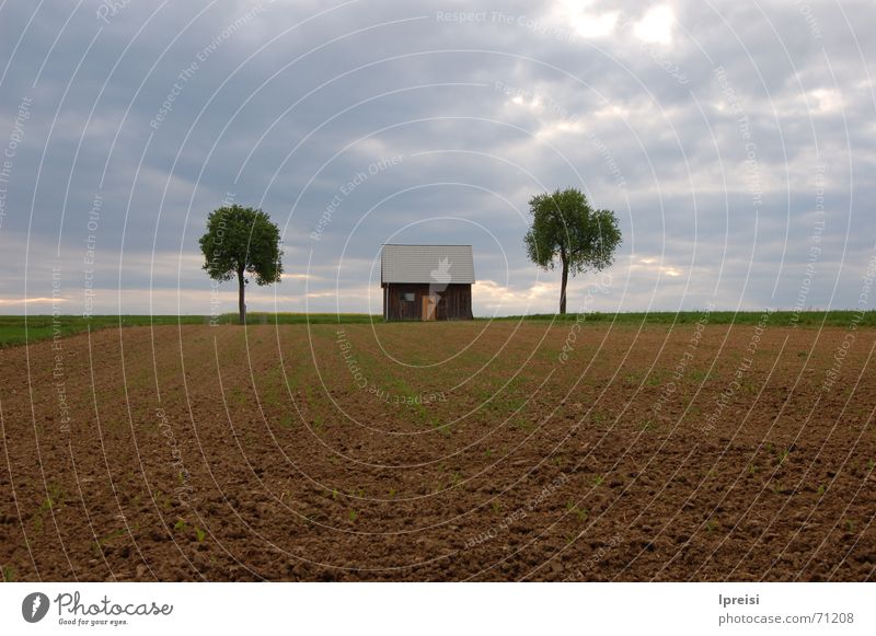 Countryside Einsamkeit Haus Baum Feld dunkel Wolken schlechtes Wetter Amerika Himmel