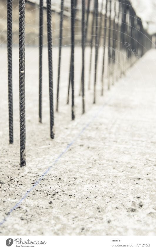 Immer schön der Reihe nach Haus Hausbau Renovieren Betonboden betoniert Armierung Armierungsstahl Betonplatte Arbeit & Erwerbstätigkeit Baustelle Bauwerk Metall