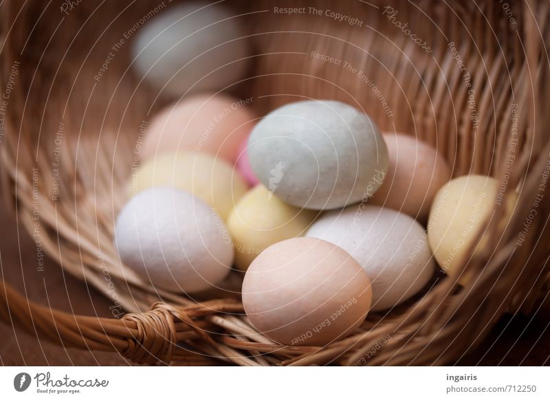 Ei Ei Ei Osterei Lebensmittel Marzipan Korb Feste & Feiern Ostern liegen rund blau gelb rosa Kultur Dekoration & Verzierung Oval Innenaufnahme Detailaufnahme