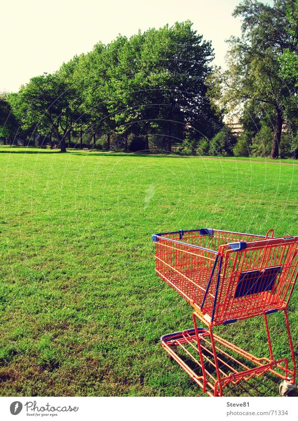 Öko Shopping 2 Einkaufswagen Wiese grün Gras Handel Supermarkt Lebensmittel Lebensunterhalt Freizeit & Hobby Einzelhandel Großhandel Konsum Natur