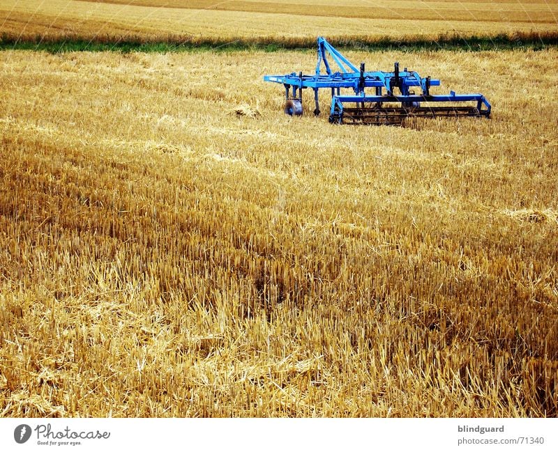 Die Arbeit ist getan. Weizen Sommer Physik Schweiß Kaugummi Feld Horizont Ähren Arbeit & Erwerbstätigkeit Arbeitsgeräte abschneiden Subvention Zerstörung