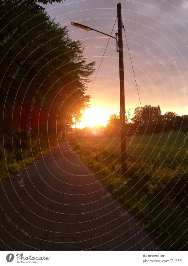 Sunset Route Einsamkeit Sonnenuntergang Telefonmast Wald Wiese Dorf Wolken Fernweh Asphalt Blatt Dorfwiese Nest grün Kuhdorf Kleinstadt Abend Wäldchen Waldwiese