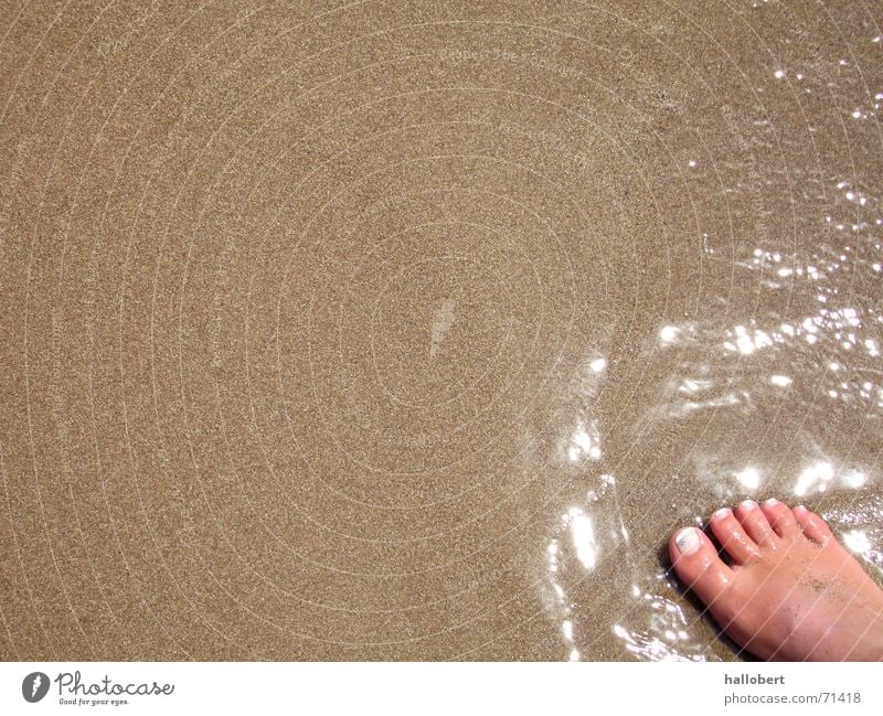 Strandfuß Zehen Meer Ferien & Urlaub & Reisen Küste Sommer Fuß Wasser Sand Barfuß