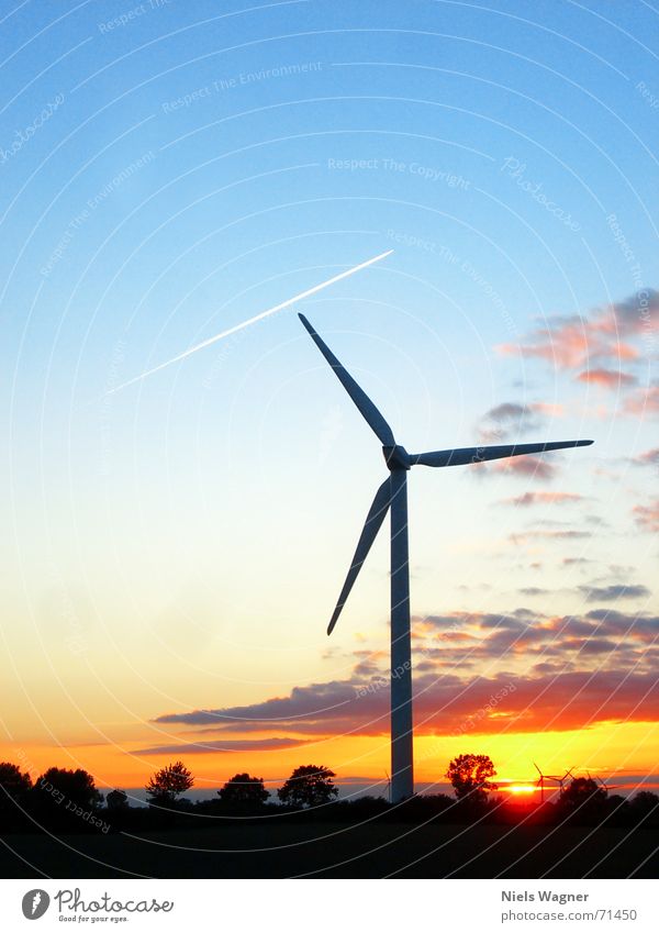 Alles nur mit Wind 2 Windkraftanlage Wiese grün Sonnenuntergang Gras rot Baum Flugzeug Himmel Abenddämmerung