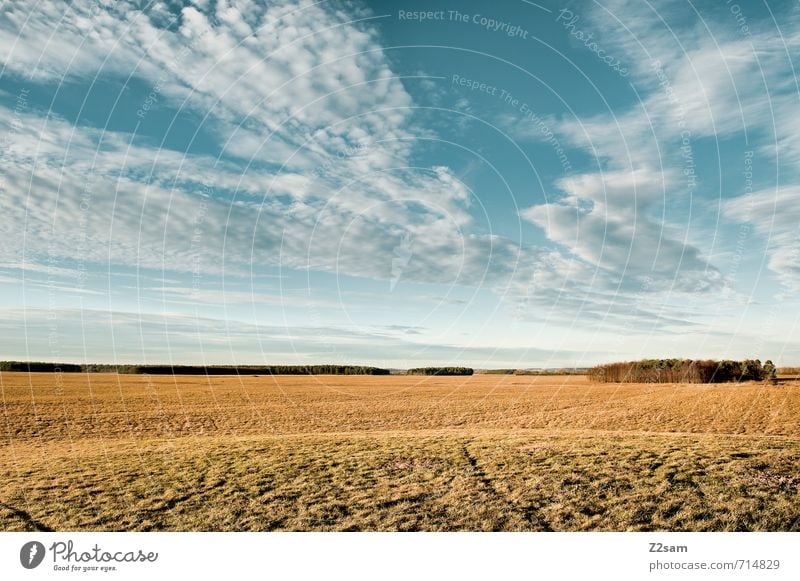 Feierabend Platzerl Ferien & Urlaub & Reisen Freiheit Sommer Umwelt Natur Landschaft Himmel Wolken Frühling Wald Ferne Unendlichkeit nachhaltig natürlich blau