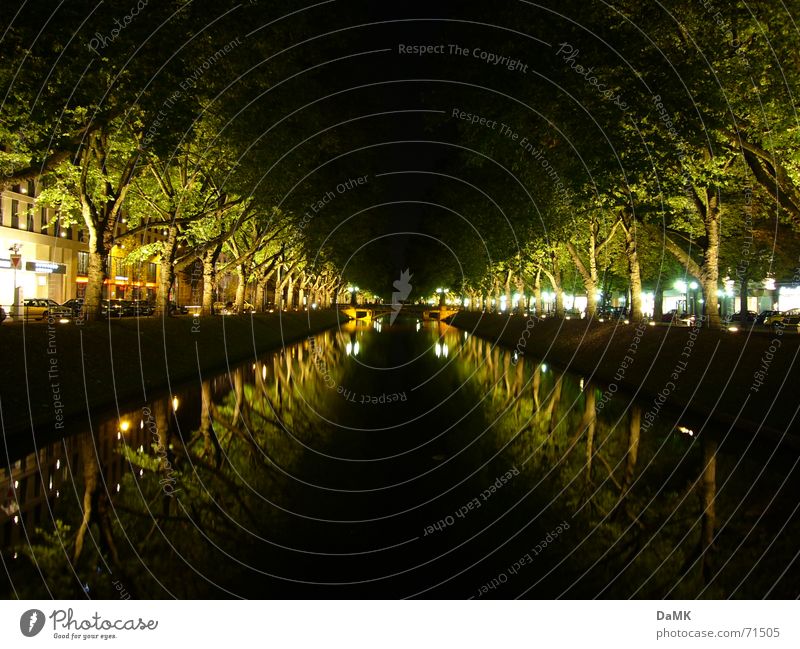 Kö-Graben Sonntag nachts Nacht Stadt Stadtzentrum ruhig grün Mitte Erholung dunkel Licht Wasser Ente Fluss Düsseldorf kö königsallee