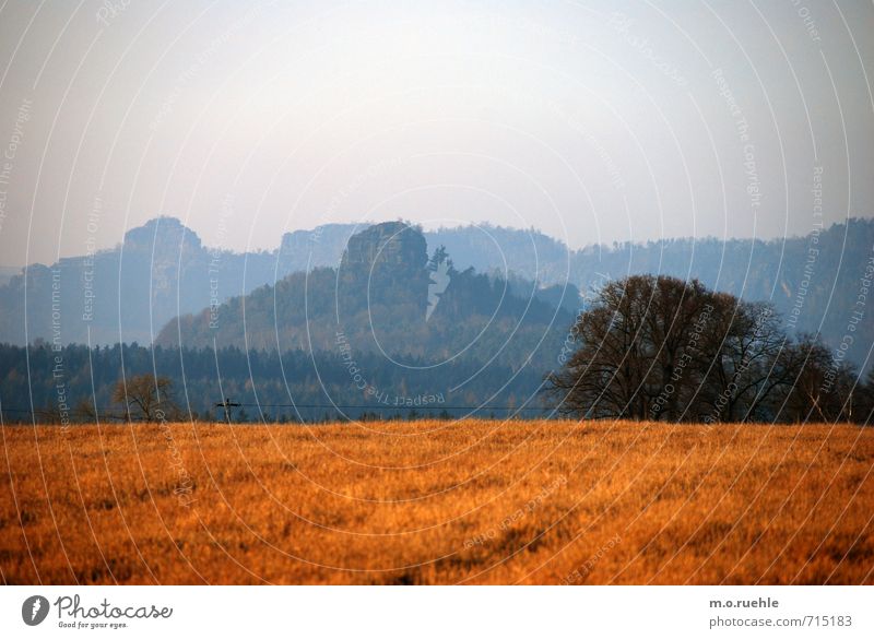 one of another Umwelt Natur Landschaft Tier Himmel Wolkenloser Himmel Frühling Baum Sträucher Feld Hügel Berge u. Gebirge Stimmung Böhmische Schweiz Farbfoto