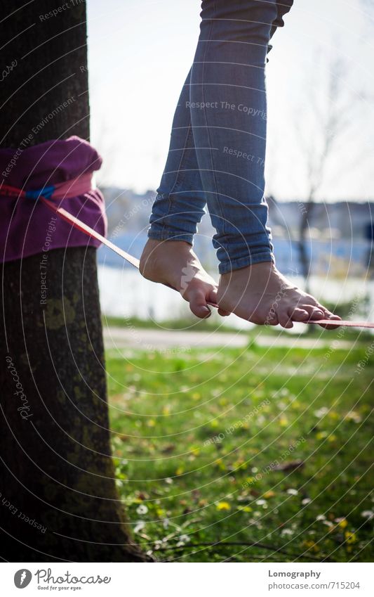 endlich Sommer Mensch feminin Junge Frau Jugendliche Erwachsene Beine Fuß 1 Park Wiese Fitness Sport sportlich Lebensfreude Freizeit & Hobby Gleichgewicht