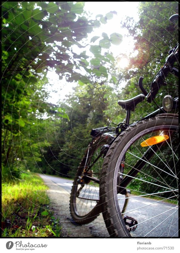 Heimweg vom Baggersee Wald Fahrrad Sommer Sonne Straße Landschaft Freude