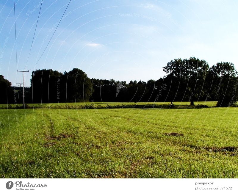 Blau-Dunkel-Grün Wiese Baum Elektrizität Kabel grün Panorama (Aussicht) blau Himmel Abenddämmerung groß