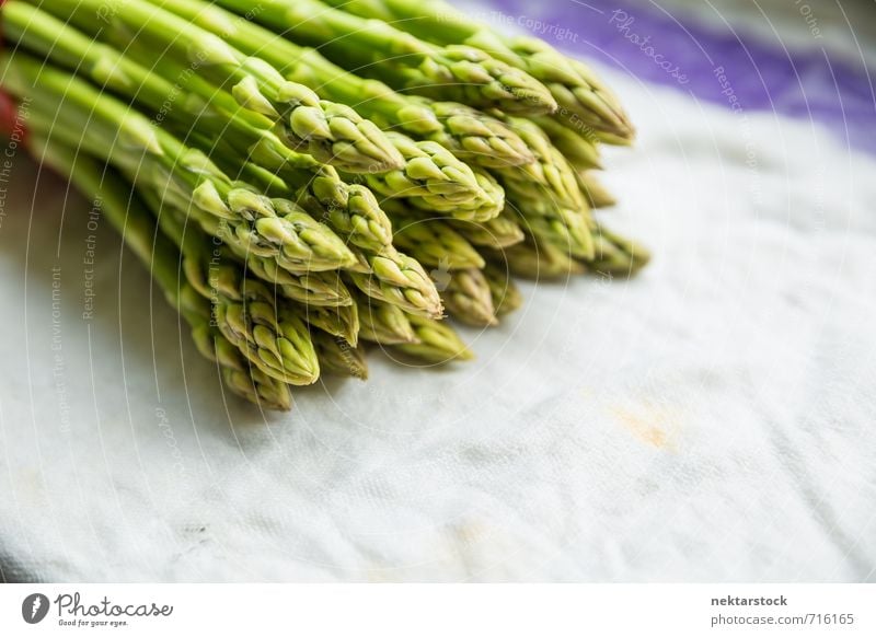 Frischer Spargel Gemüse Salat Salatbeilage Ernährung Büffet Brunch Bioprodukte Vegetarische Ernährung Diät Gesunde Ernährung Essen frisch Gesundheit healthy