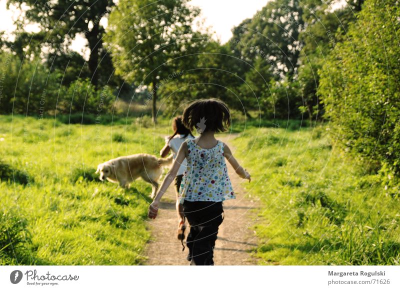 kind sein Wiese Feld Mädchen Kind Spielen toben Sommer Herbst Fröhlichkeit laufen rennen