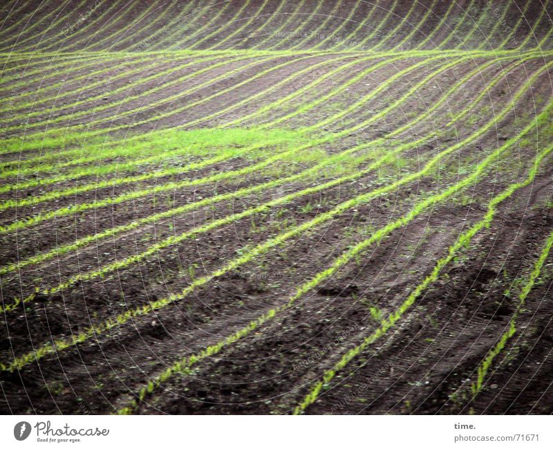 Im Fluss des Lebens Farbfoto Gedeckte Farben Außenaufnahme Wellen Natur Erde Frühling Feld Linie Zufriedenheit Frühlingsgefühle Macht authentisch fleißig