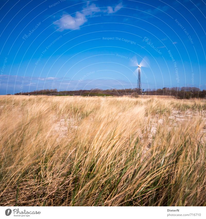 Energie Strand Sand Ostsee blau gelb Mecklenburg-Vorpommern Wustrow Windrad Wald Gras Stranddüne Wolken Himmel Farbfoto Außenaufnahme Menschenleer