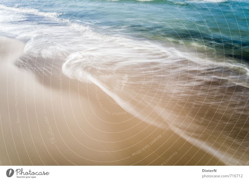 Wasser Strand Meer Sand Ostsee blau gold weiß Mecklenburg-Vorpommern Wustrow Wellen Schaum Gischt Farbfoto Außenaufnahme Menschenleer Textfreiraum links