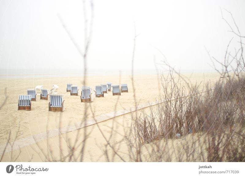 Vorvorsaison Natur Landschaft Sand Wasser Himmel Sträucher Küste Strand Nordsee Meer Insel frei frisch ruhig Ruhepunkt Strandkorb Spiekeroog Ostfriesland