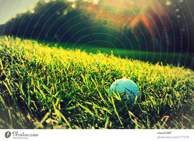 Golfball in der Sonne Freizeit & Hobby Minigolf Sport Ballsport Golfplatz Natur Gras Wiese Erfolg trendy sportlich grün Lebensfreude Begeisterung Business