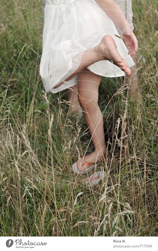 Das piekst ! [ III ] Mensch Mädchen 3-8 Jahre Kind Kindheit Umwelt Natur Sommer Gras Wiese Kleid Flipflops stehen grün weiß Freude Lebensfreude Barfuß Reinigen