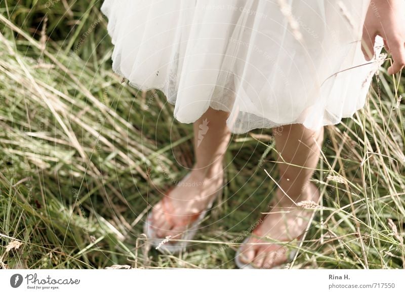 SommerZeit Mädchen 1 Mensch 3-8 Jahre Kind Kindheit Umwelt Natur Gras Wiese Kleid Flipflops hell natürlich grün weiß Lebensfreude Farbfoto Außenaufnahme