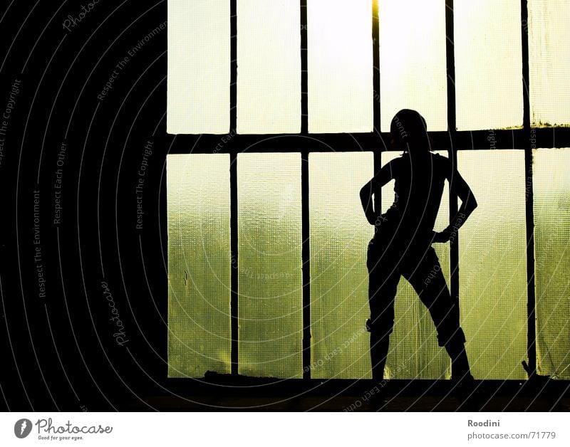 young & beautiful 1 Frau Silhouette elegant feminin Licht Fenster Hintergrundbild Hüfte Sport Sonnenuntergang Gebäude stark selbstbewußt Mensch Profil Körper