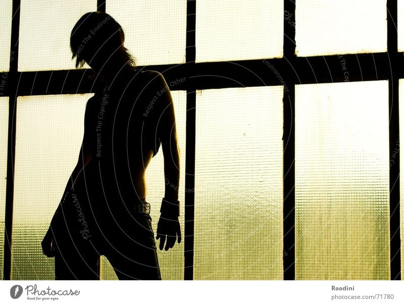 young & beautiful 2 Frau Silhouette elegant feminin Licht Fenster Hintergrundbild Hüfte Sonnenuntergang Gebäude stark selbstbewußt Mensch Profil Körper Kraft