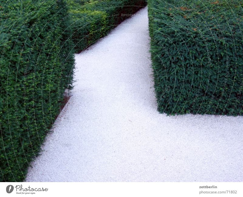 Gartenbau 1 Kies Hecke Regierungssitz grün grau weiß Irrgarten Irrweg Ausweg Ausgang Eingang Dornröschen paul löbe Innenhof Strukturen & Formen