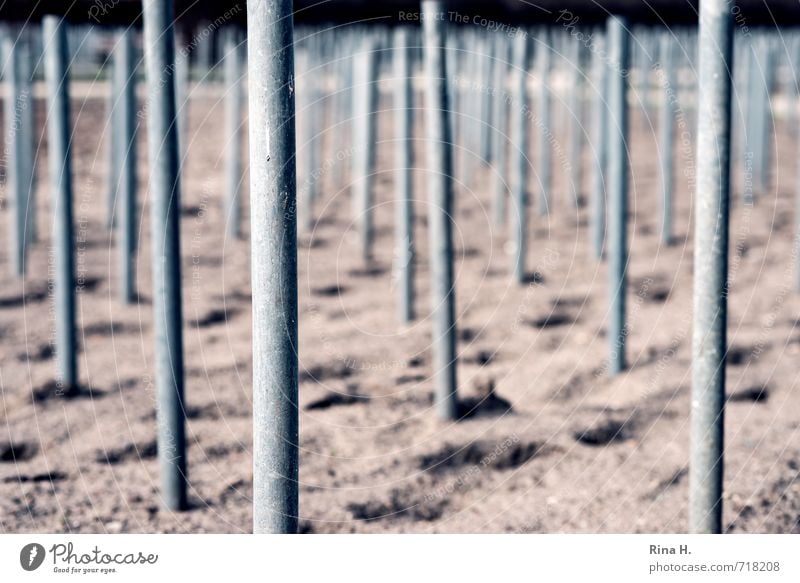 Reih & Glied Garten Sand stehen Ordnung Symmetrie Pfosten Stock Spuren Gartenbau Strebe Gedeckte Farben Außenaufnahme Menschenleer Textfreiraum unten