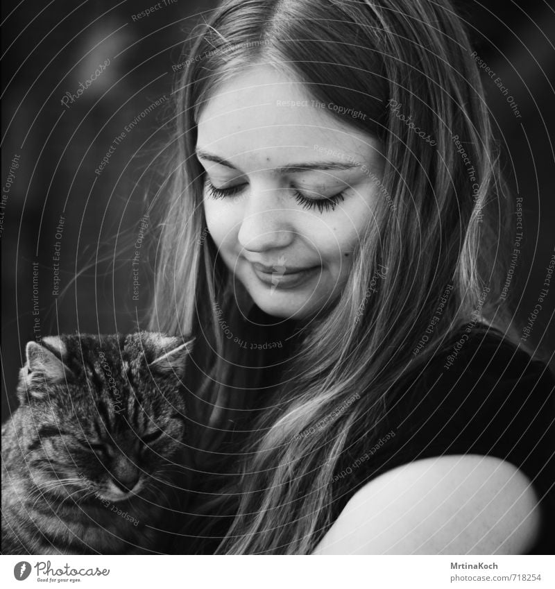 she and the cat from a stranger. Mensch feminin Junger Mann Jugendliche Frau Erwachsene 18-30 Jahre Tier Haustier Katze Sicherheit Schutz Geborgenheit Einigkeit