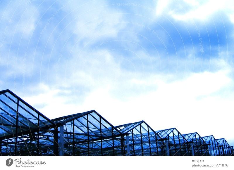 wer im glashaus ... und elefanten werfen? Haus Himmel Wolken Regen Bauwerk Gebäude Glas Metall dunkel lang blau schwarz geheimnisvoll Gewächshaus gedeihen