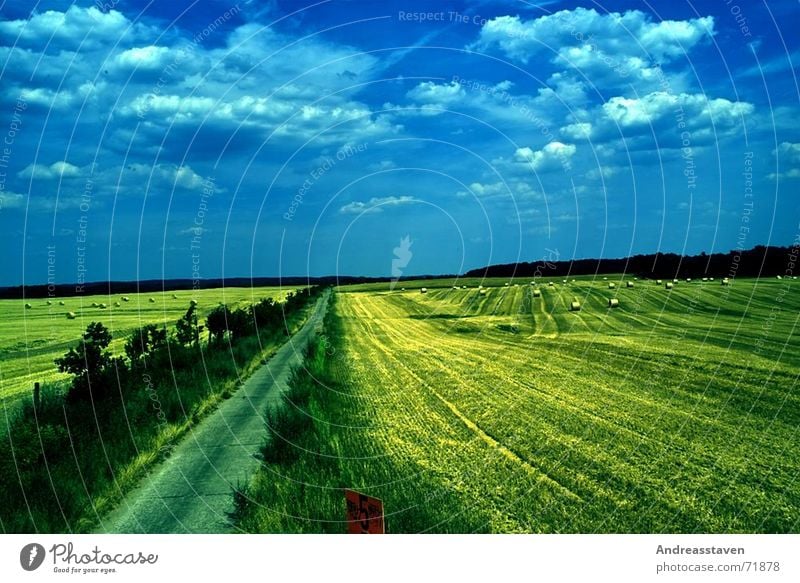 Feld Sommer Gras Himmel Wolken Hintergrundbild Baum Sträucher Sonne field Rasen blau sky blue wallpaper sun grey Straße street Schilder & Markierungen