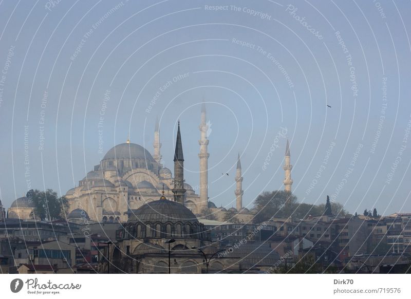 Istanbul Skyline Städtereise Wolkenloser Himmel Sonnenlicht Frühling Schönes Wetter Nebel Türkei Stadt Menschenleer Haus Turm Minarett Moschee Kuppeldach