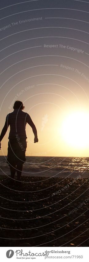 Walk into the sun.. entdecken See Meer Licht Gegenlicht dunkel Reflexion & Spiegelung Strand Vertrauen Sommer explore mancind Sonne hell blau Mensch Stein dark