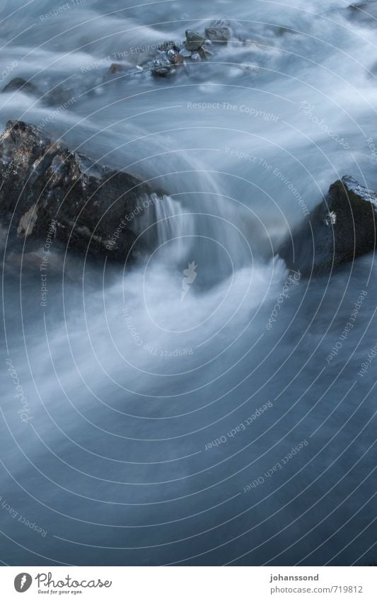 Bergbach Natur Landschaft Urelemente Wasser Alpen Berge u. Gebirge Schlucht Bach Wasserfall Stein Bewegung Erholung bedrohlich dunkel einfach kalt natürlich