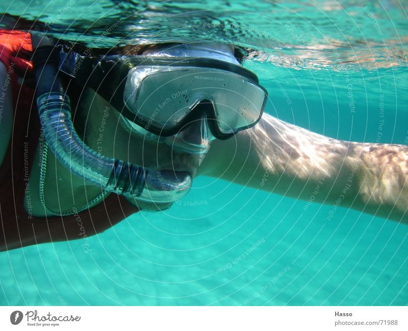 Blubb Blubb tauchen Tauchgerät Meer Schnorcheln Frankreich Sommer Ferien & Urlaub & Reisen Physik kühlen Meeresboden taucherbrillle Wasser Mittelmeer Wärme