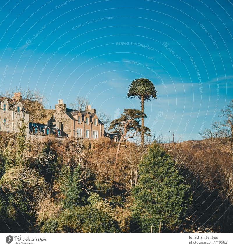 Portree / Isle of Skye IX Umwelt Natur Landschaft Himmel Schönes Wetter Baum Dorf Kleinstadt Haus ästhetisch Schottland Highlands Großbritannien Norden einzeln