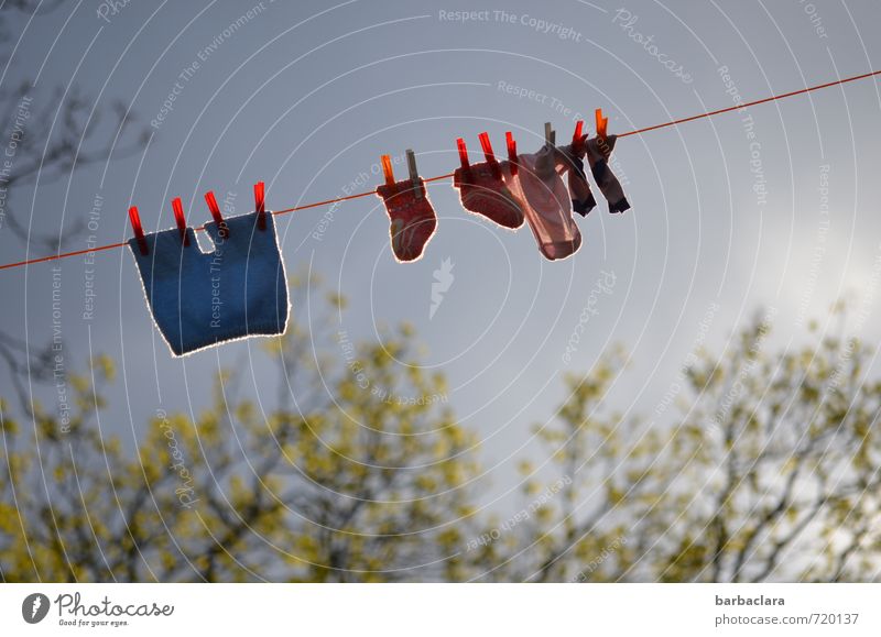 Trockenheit | am Waschtag Natur Luft Himmel Wolken Frühling Wetter Baum Sträucher Blüte Garten Park Strümpfe Babykleidung Wäsche Wäscheklammern Wäscheleine