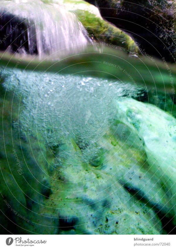 Mixed Elements Luftblase See tief Zoo Frankfurt am Main unten tauchen fließen Sauerstoff Küste Wasser Wasserfall water waterfall Unterwasseraufnahme Achse