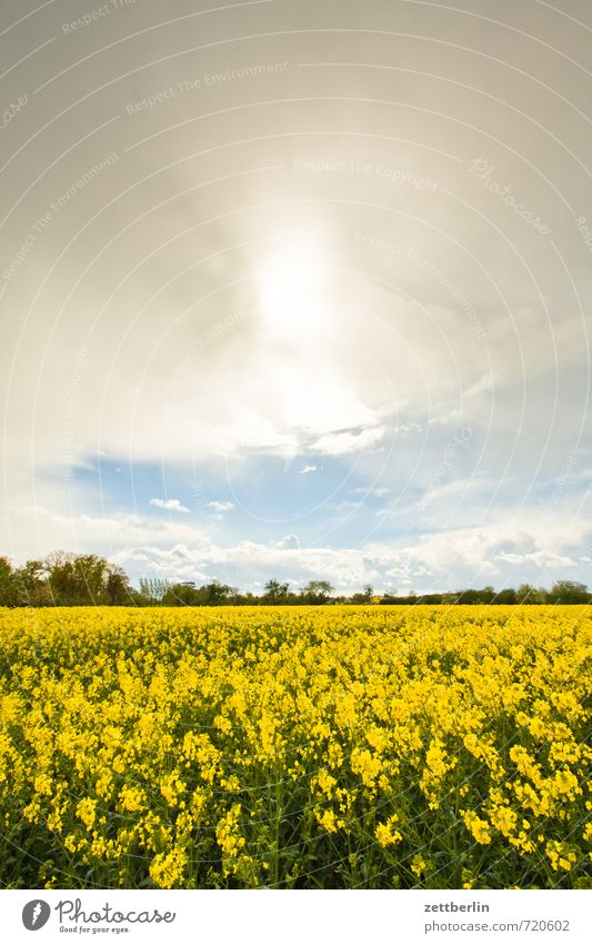 Err Ah Peh Ess Tourismus Ausflug Landwirtschaft Forstwirtschaft Umwelt Natur Landschaft Himmel Wolken Frühling Klima Klimawandel Wetter schlechtes Wetter