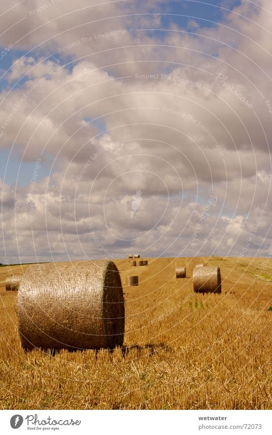 Heuballen Feld Wolken Wolkenhimmel Himmel Stoppelfeld Sommer Herbst Landwirtschaft gelb field clouds sky Ernte Korn landscape Landschaft Schönes Wetter sunny