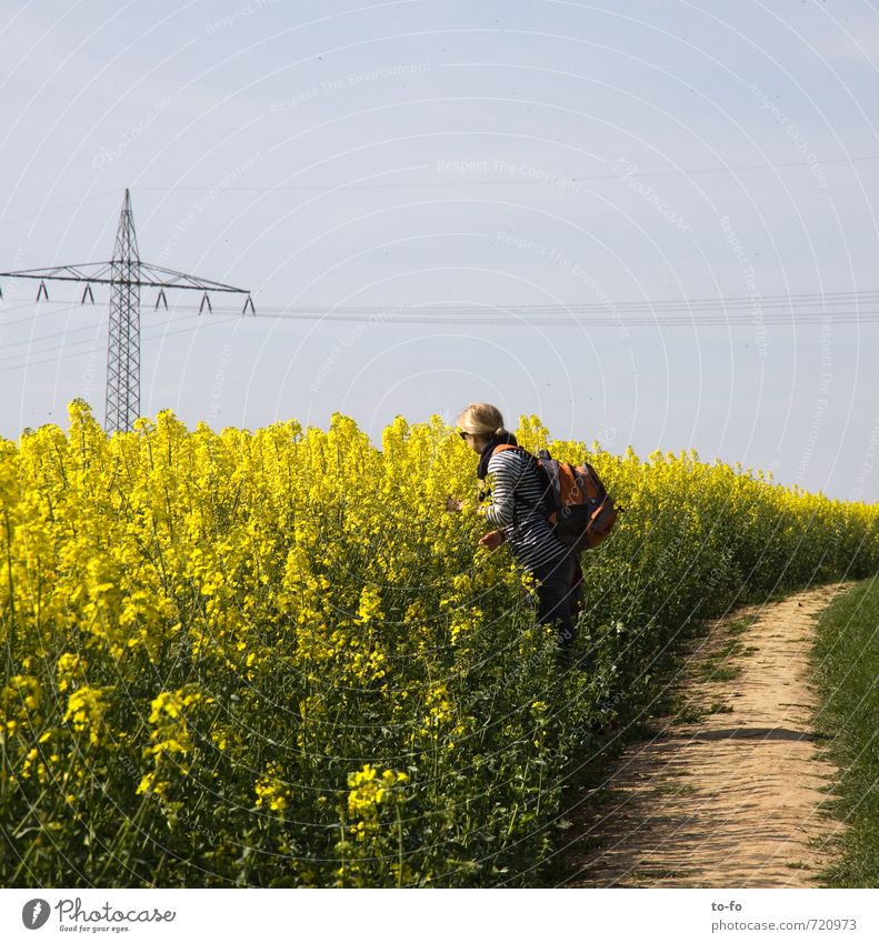 Welch ein Duft! Mensch feminin Junge Frau Jugendliche 1 18-30 Jahre Erwachsene Umwelt Landschaft Pflanze Himmel Frühling Schönes Wetter Blüte Nutzpflanze Raps