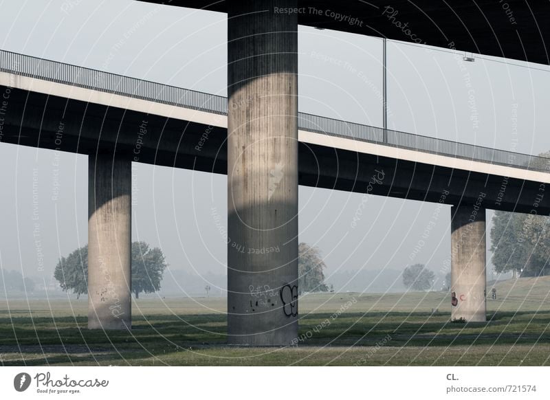 echt | stabil Umwelt Natur Landschaft Baum Wiese Brücke Bauwerk Architektur Verkehr Verkehrswege Straßenverkehr Wege & Pfade Hochstraße trist Stadt Sicherheit