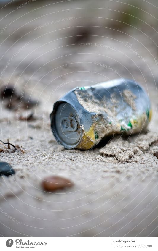 Strand(un)gut Umwelt Natur Landschaft Urelemente Herbst Klimawandel Küste Ostsee Insel Sorge Entsetzen Zukunftsangst Umweltverschmutzung Umweltschaden