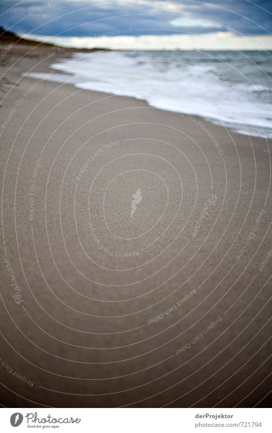 Fokus Sand Ferien & Urlaub & Reisen Tourismus Ausflug Ferne Freiheit Insel Umwelt Natur Pflanze Urelemente Wasser Herbst schlechtes Wetter Wind Wellen Küste