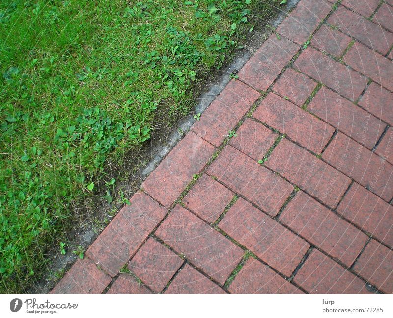 bodenlose frechheit - heute: mit boden ;-) Umwelt Natur Pflanze Erde Gras Dorf Menschenleer Verkehrswege Fußgänger Straße Stein dreckig einfach unten grün rot