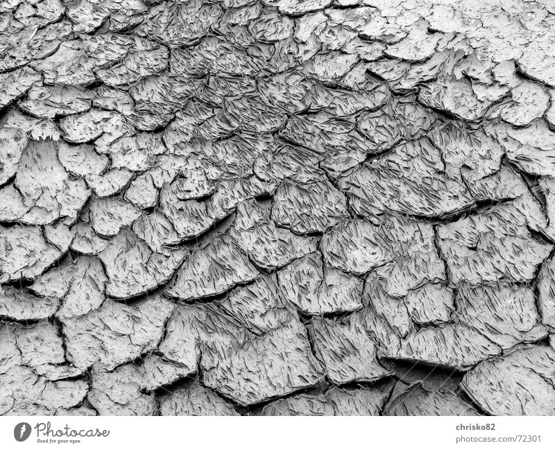 Elefantenhaut vs. trockene Erde Dürre rau Mondlandschaft Riss Bodenbelag
