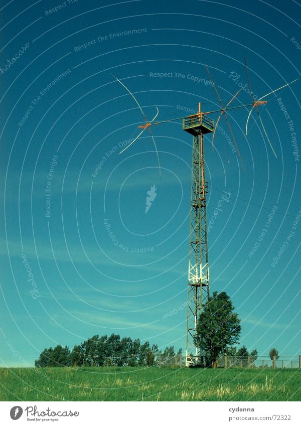 Wie ist Dein Empfang heute? Baum Wiese Gesellschaft (Soziologie) Vorrichtung Fernsehen Stahl Sommer Himmel Strommast Niveau weiterleitung